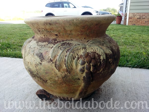 Palm Planter