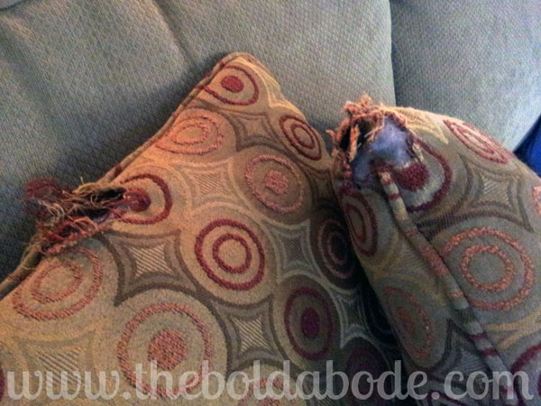 Chewed up Pillows2