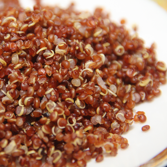featured-quinoa