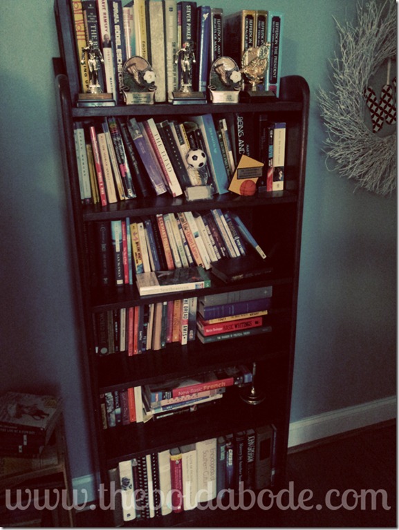 book shelf loaded with books