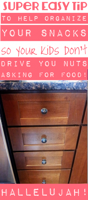 Super Easy Tip to Organize Snacks for Your Kids So They Don't Drive You NUTS!