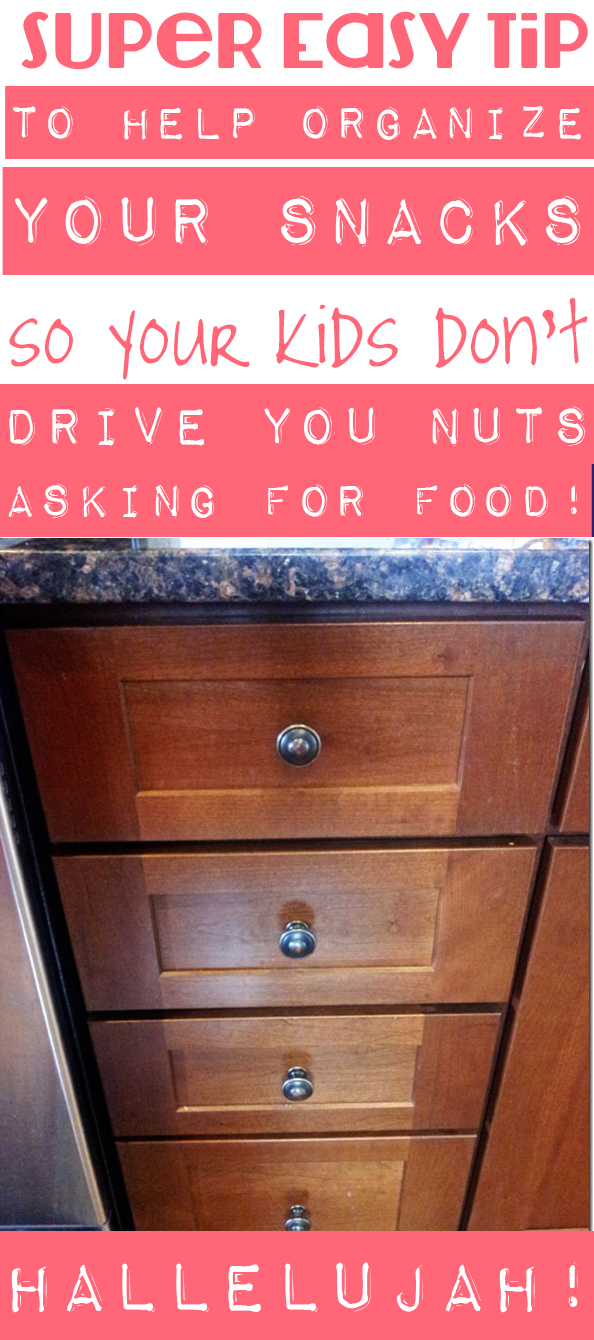 https://www.theboldabode.com/wp-content/uploads/2012/10/snack-organization-tip.png