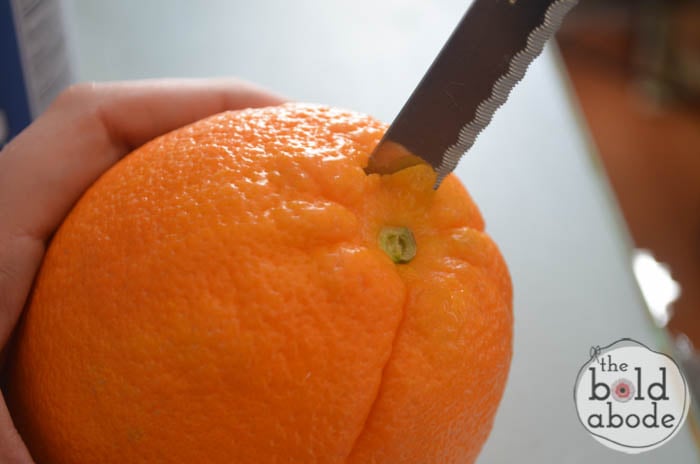 peppermint oranges-3