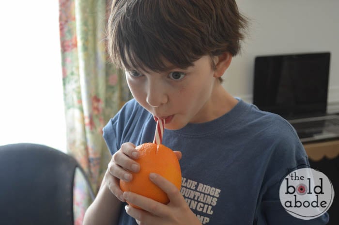 peppermint oranges-5