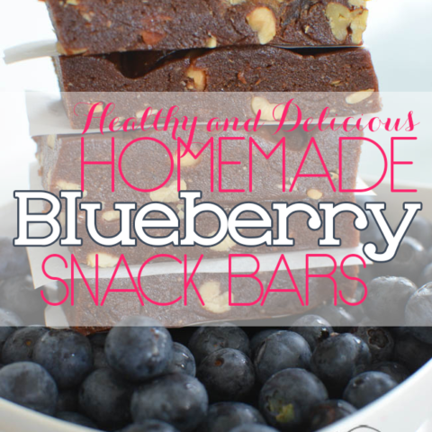 FHomemade Blueberry Snack Bars