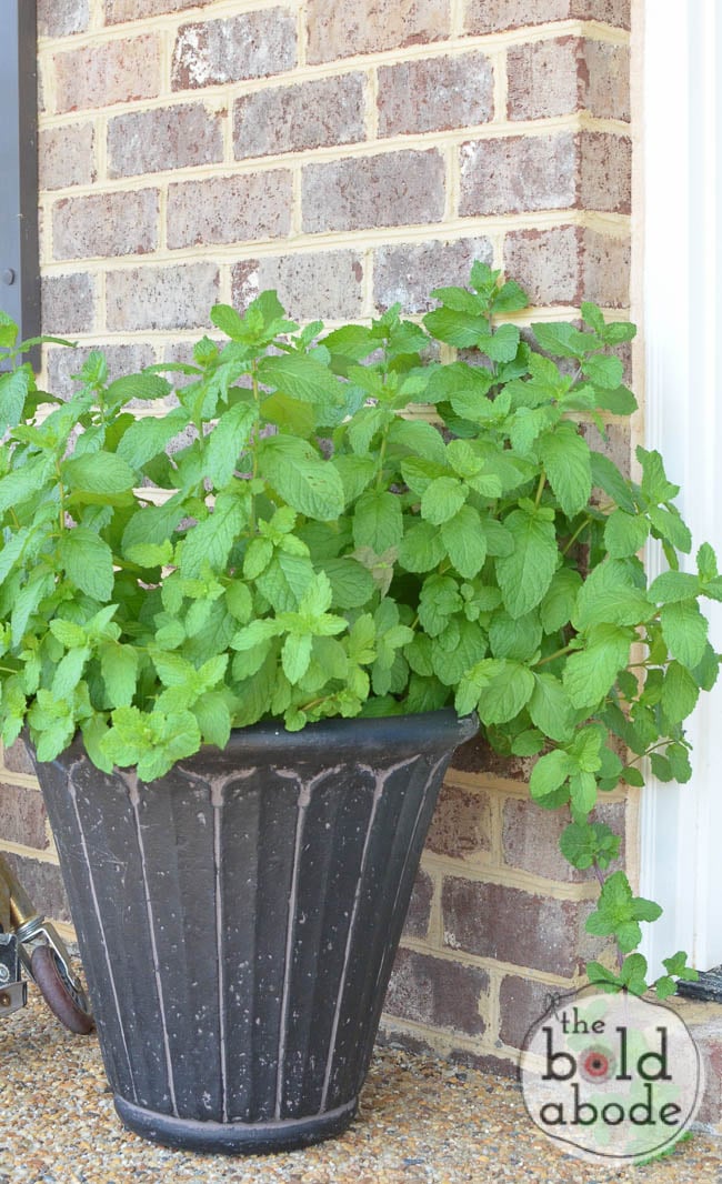 how to paint concrete planters-7