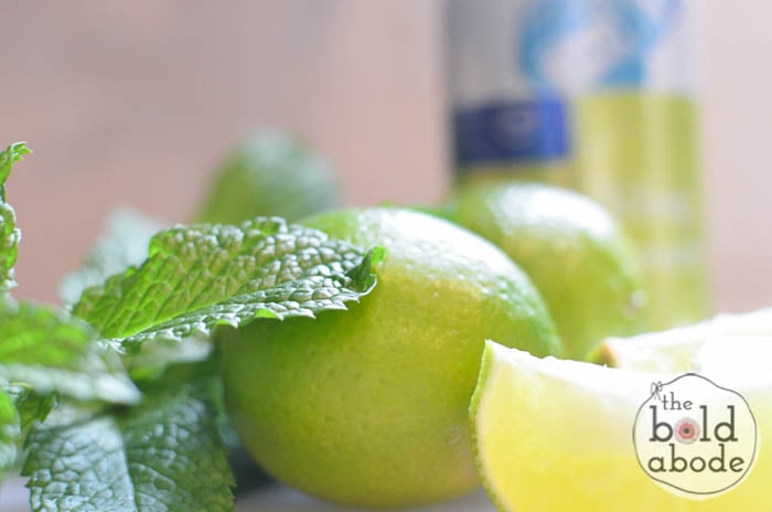 sparkling mojito water-2