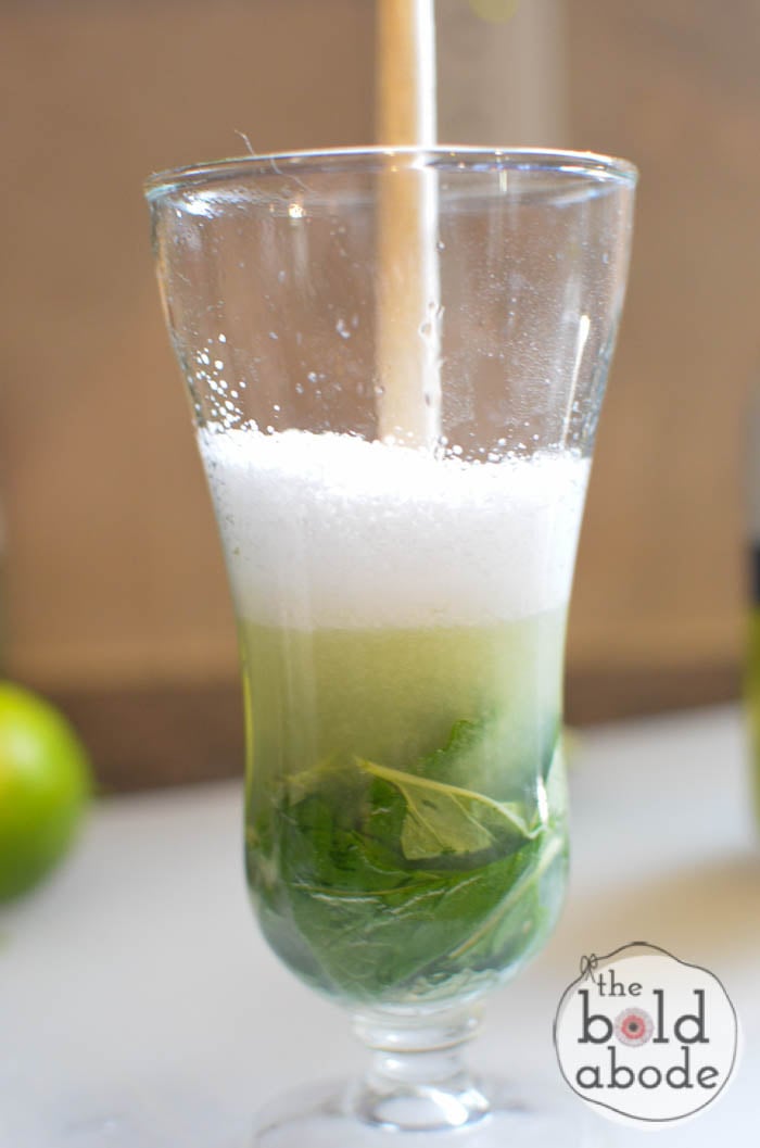 sparkling mojito water-5