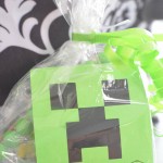 creeper gift bags-5