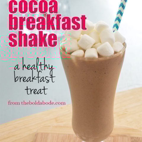 Hot Cocoa Breakfast Shake