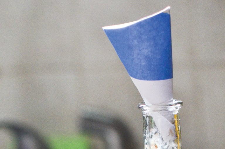 How to Trap Fruit Flies