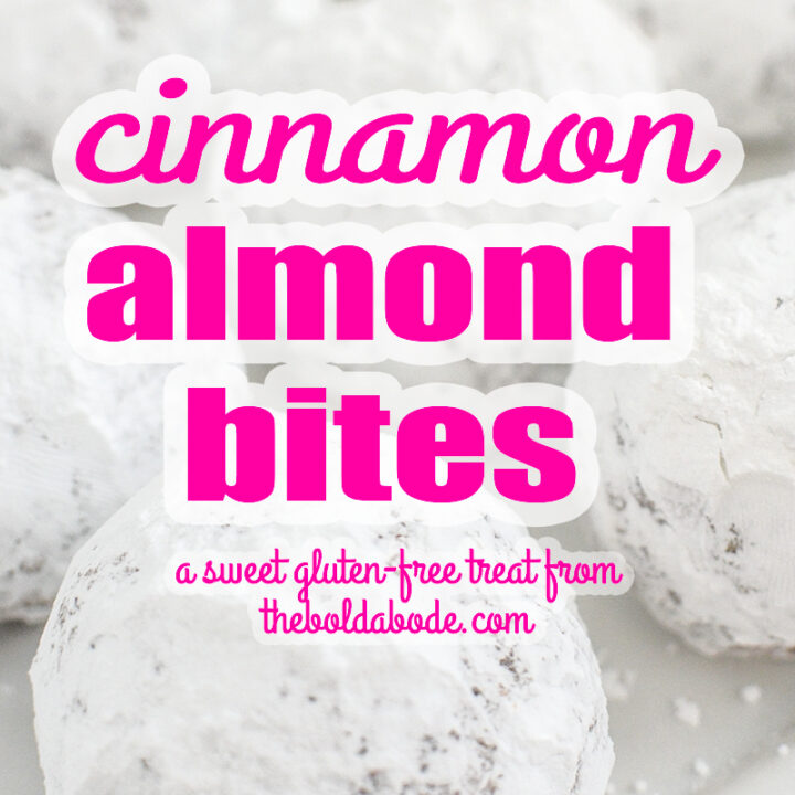 Cinnamon Almond Bites
