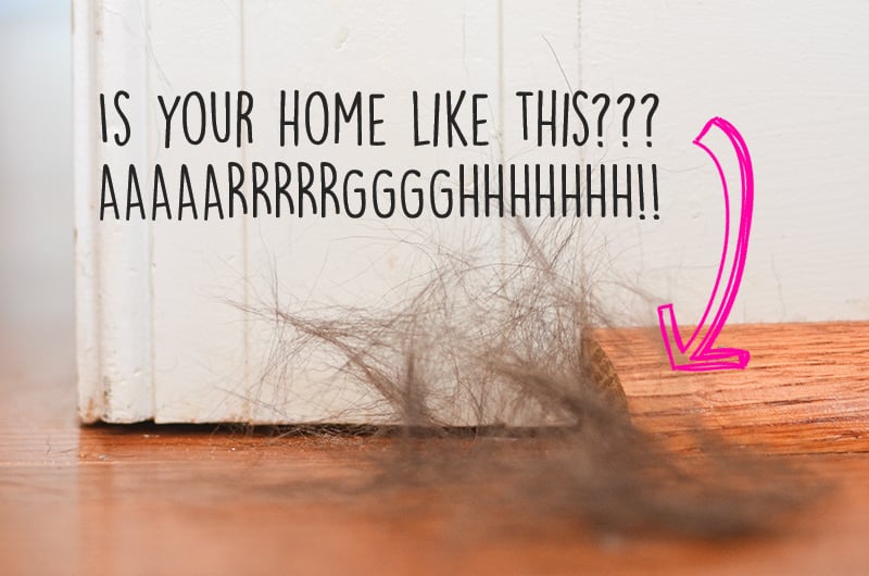 How to Keep From Drowning in Pet Hair