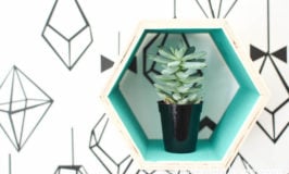 hexagon shelf with succulent
