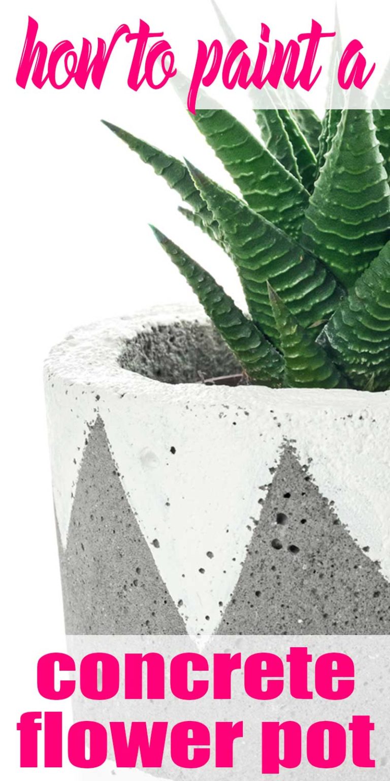Learn How to Paint Concrete Planters The Bold Abode