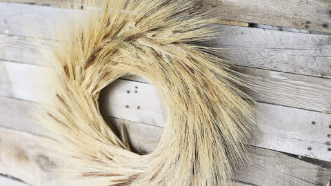 Image for Fall Wreath