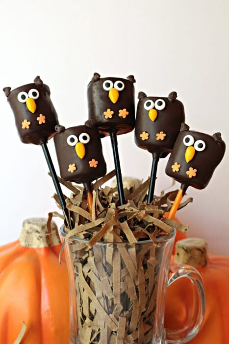 Owl Marshmallow Pops
