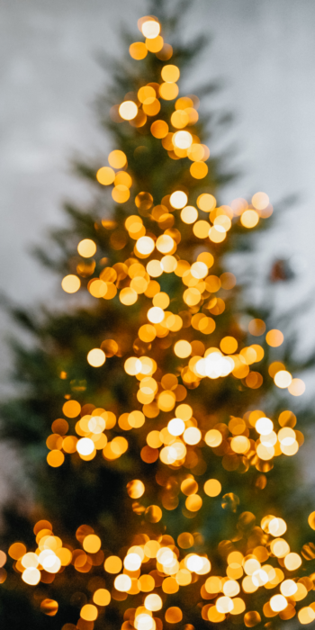 bokeh christmas tree pinterest pin for 10 fun Christmas Traditions