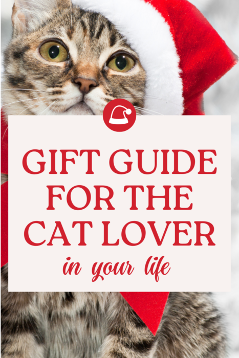 gift guide for cat lovers, kitty cat with a santa hat