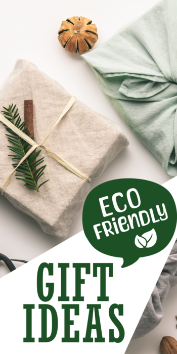 pinterest pin for 10 sustainable gift ideas