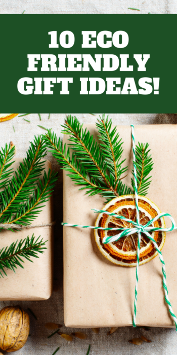 pinterest pin for 10 sustainable gift ideas
