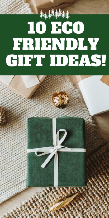 pinterest pin for 10 sustainable gift ideas
