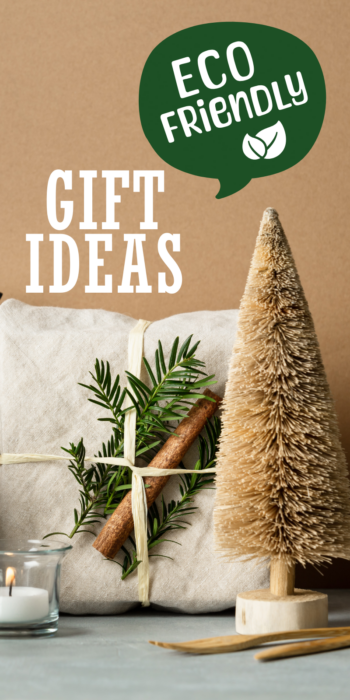 pinterest pin for 10 sustainable gift ideas