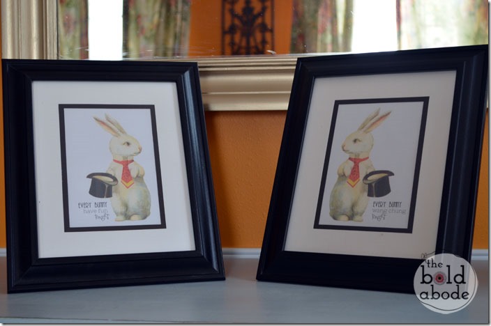 bunnies