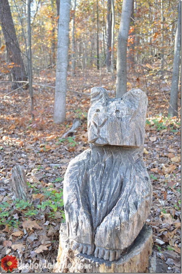 Bear in the woods