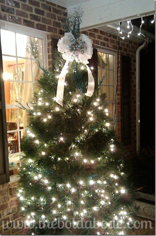 Put a Tree on the Porch
